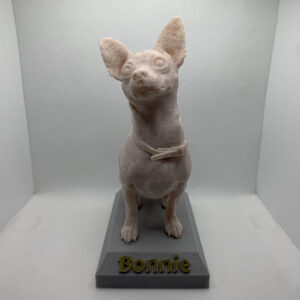 Escultura Personalizada de Mascota